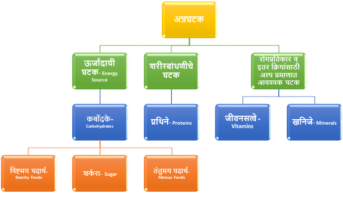 Essential elements for the human body : Carbohydrates, Proteins, Vitamin and Minerals